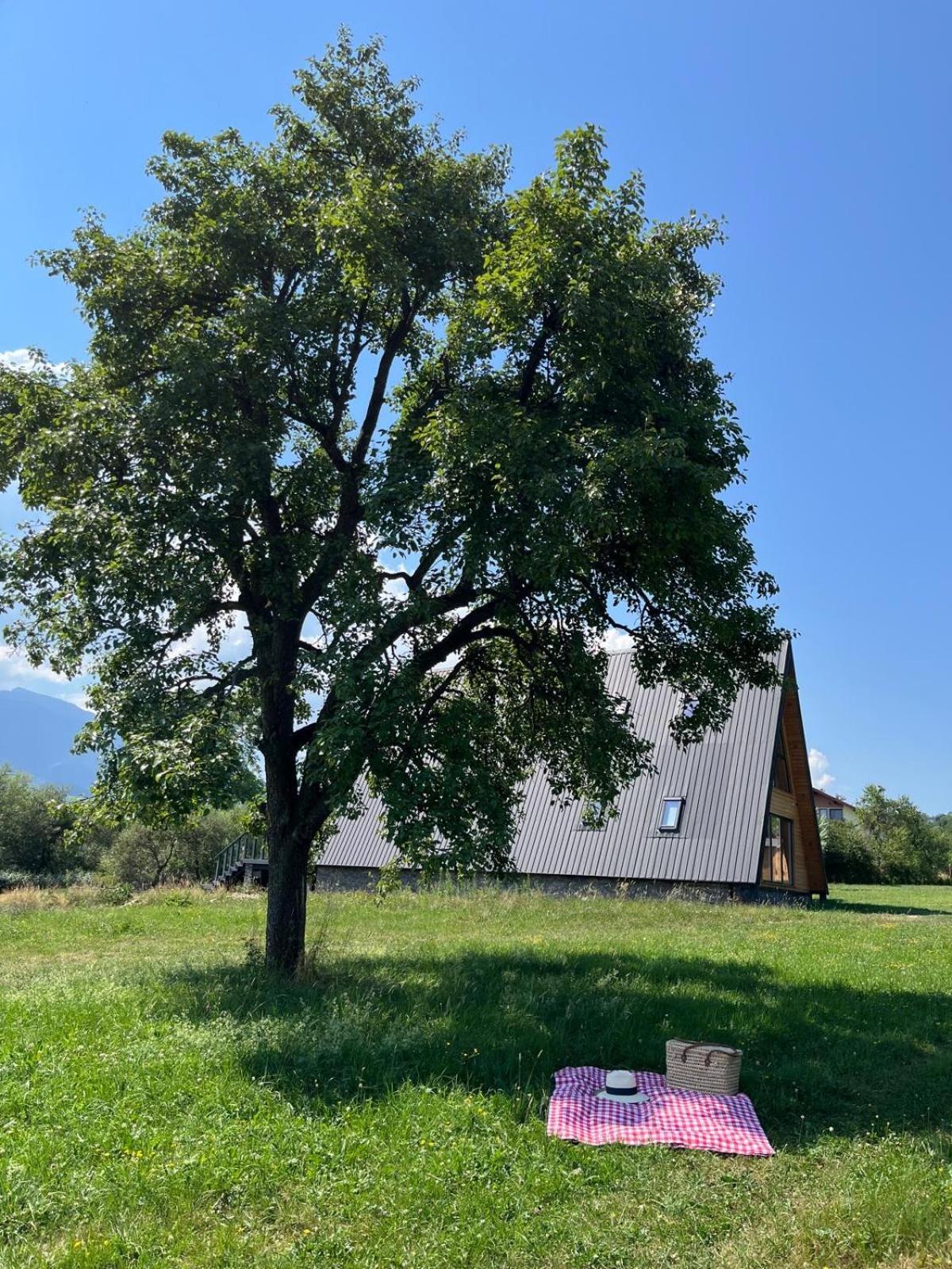Vino Chalets Bran Sohodol  ภายนอก รูปภาพ